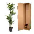 Dracaena fragrans 'Golden Coast' 170 cm u2013 Pot u00d827